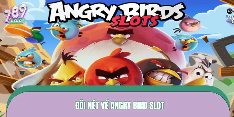 Đôi nét về Angry Bird slot