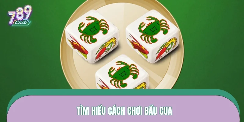 Tìm hiểu cách chơi bầu cua