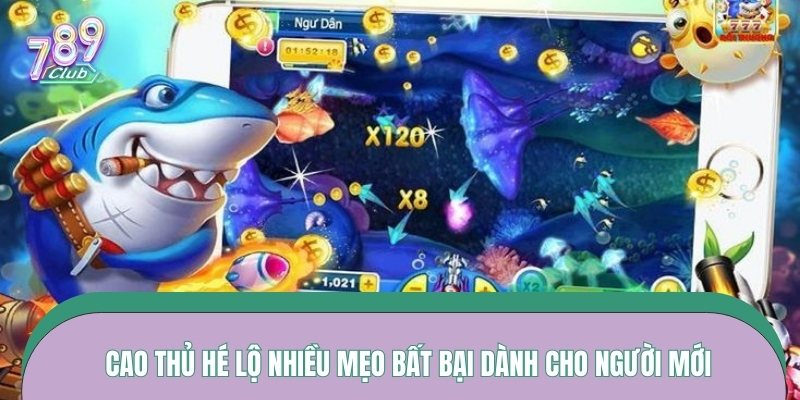 Cao thủ hé lộ nhiều mẹo bất bại dành cho người mới